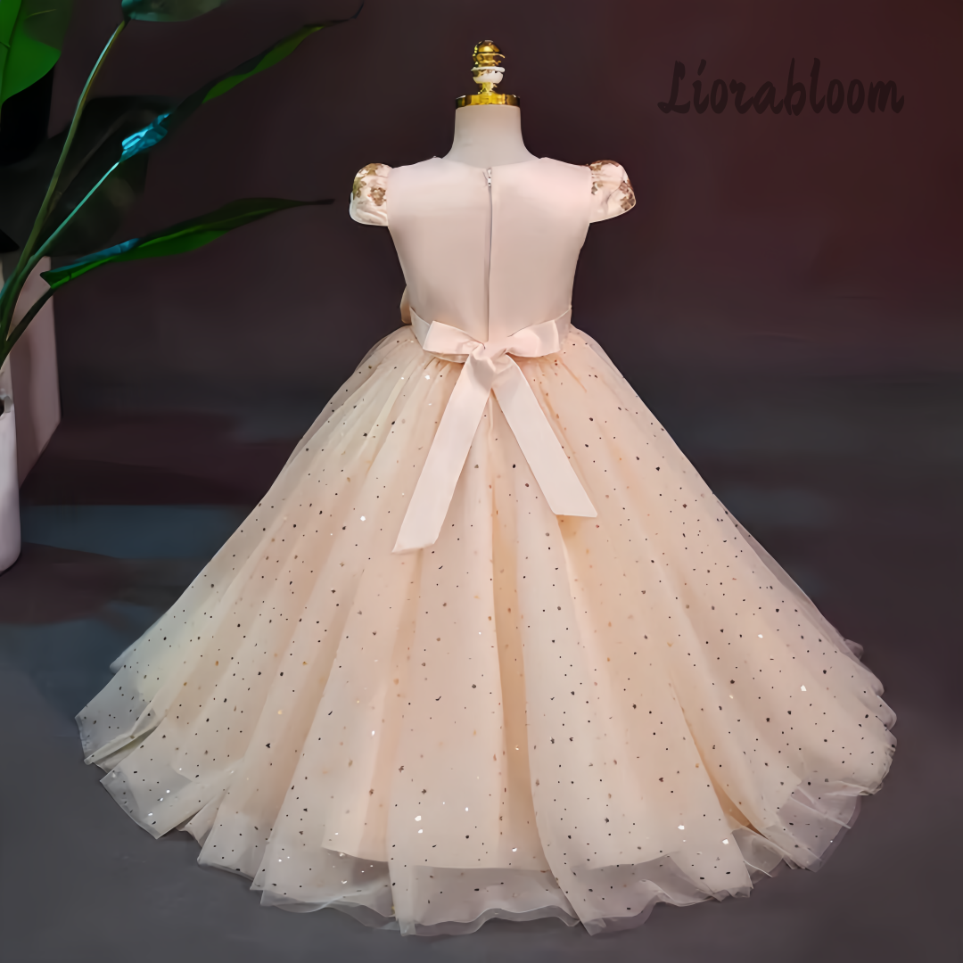 Formal Multicolor Evening Gown - Formal Wear Women Us บทวิจารณ์และราคา