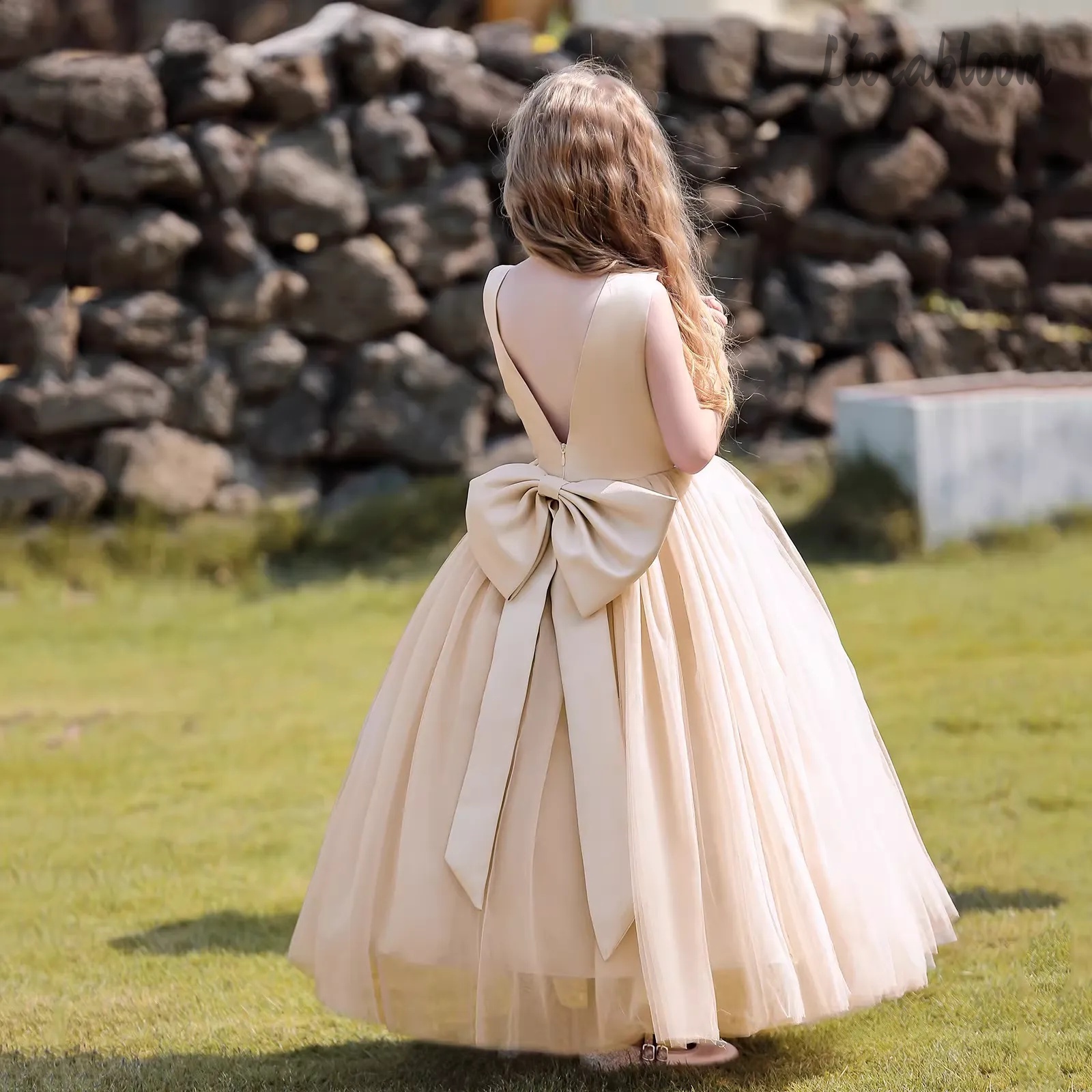 Multicolor Backless Princess D - Formal Wear Women Us บทวิจารณ์และราคา